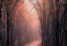 虎扑体育官网：不会有大挪移了？红牛顾问马尔科：角田将在大红牛待到赛季结束.