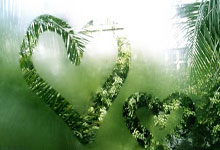 摔跤亚锦赛闭幕 中国队1金3银10铜收官.